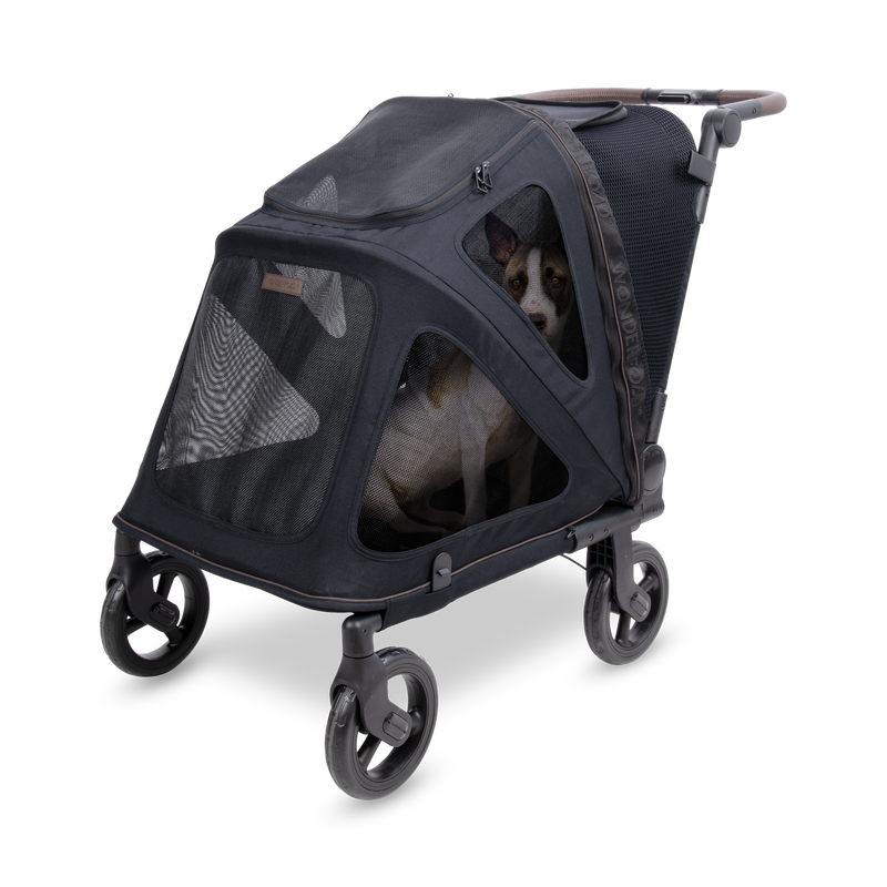 Graphite Black