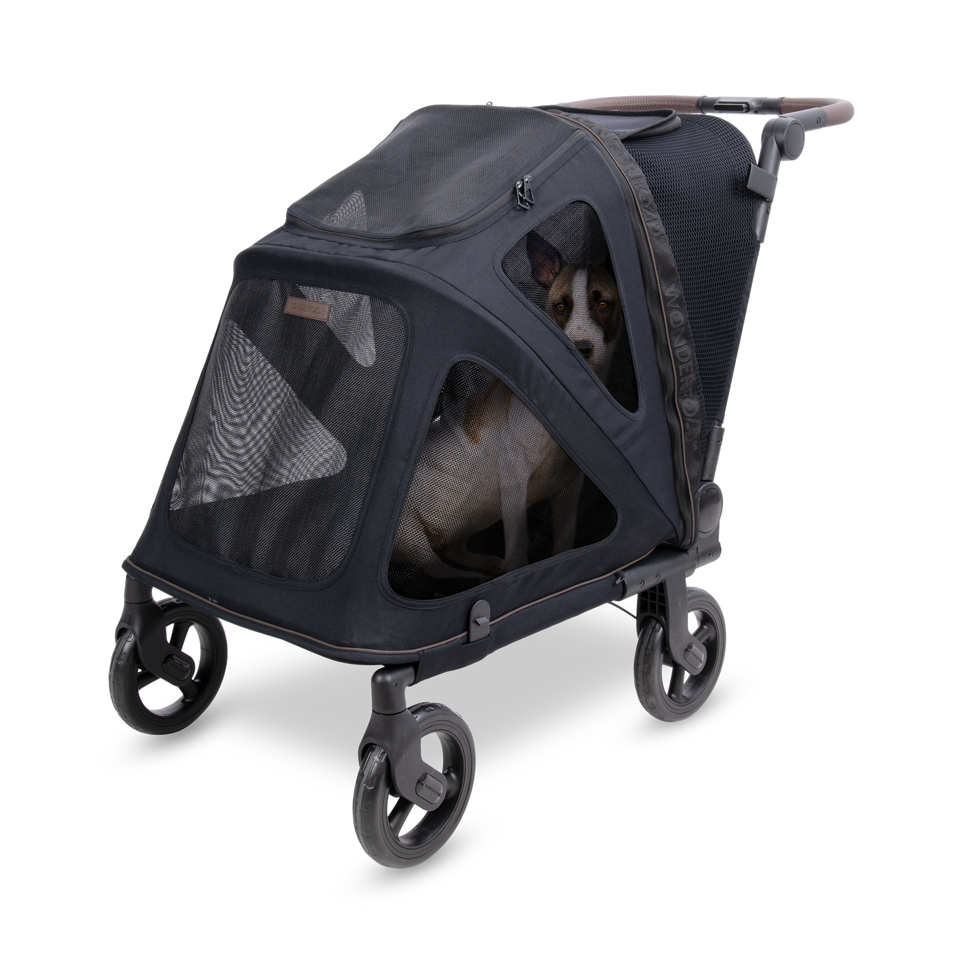 Graphite Black