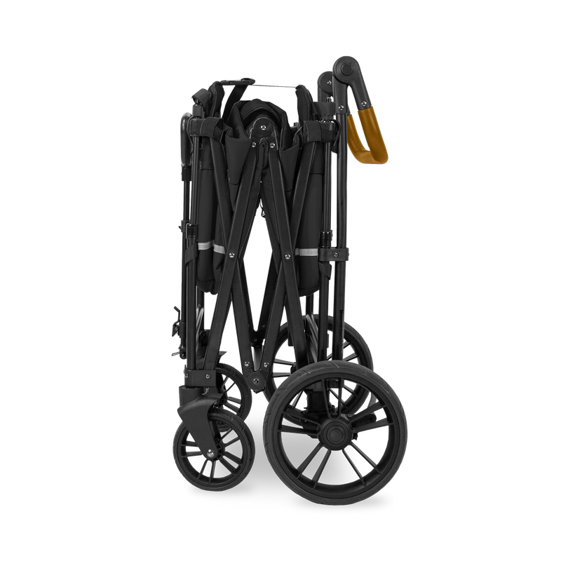 X2 Push + Pull Double Stroller Wagon (2 Seater)